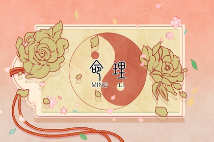 双人紫微合盘详解|命盘|命盘显示夫妻变动|命命盘查询|命宫排盘