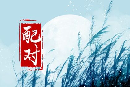 现代婚恋中的合婚角色